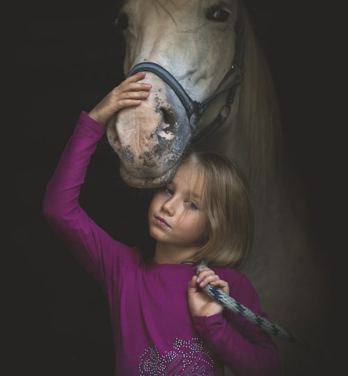 horse, child, love-3964534.jpg