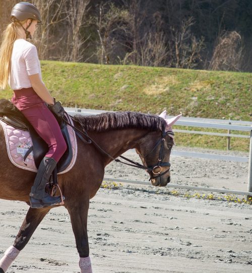 horseback riding, horse, girl-6147267.jpg